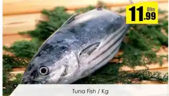 Amber Tuna Fish offer