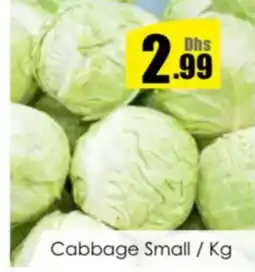 Amber Cabbage Small offer