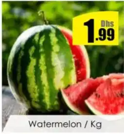 Amber Watermelon offer