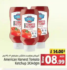 Kenz Hypermarket AMERICAN HARVEST Tomato Ketchup offer