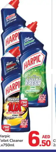 Day To Day HARPIC Toilet / Drain Cleaner offer