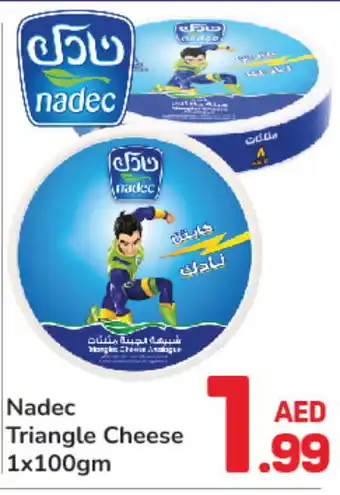 Day To Day NADEC Triangle Cheese offer