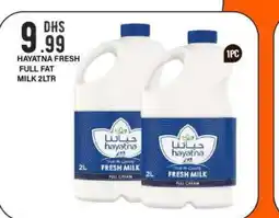 Bigmart HAYATNA Full Cream Milk offer