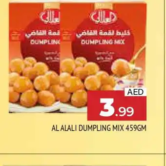 Al Madina AL ALALI Dumpling Mix offer