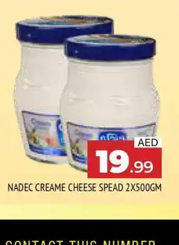 Al Madina NADEC Cream Cheese offer