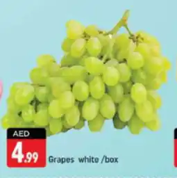 Shaklan Grapes white offer
