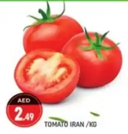 Shaklan Tomato offer