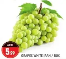 Shaklan Grapes white offer