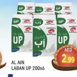 Al Madina AL AIN Laban offer