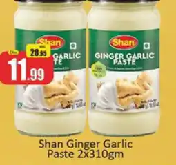 Al Madina SHAN Garlic Paste offer