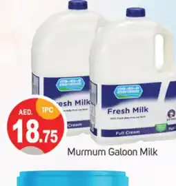 Talal Market MARMUM Full Cream Milk offer