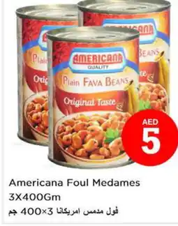 Last Chance AMERICANA Fava Beans offer