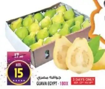 Safari Hypermarket Guava offer