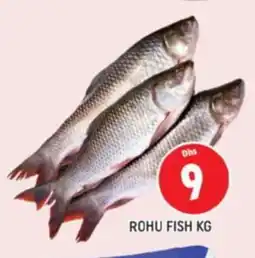 Al Madina Rohu fish offer