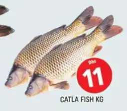 Al Madina Catla fish offer
