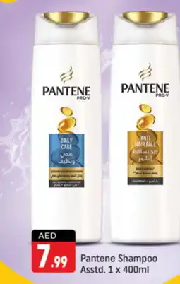Shaklan PANTENE Shampoo / Conditioner offer