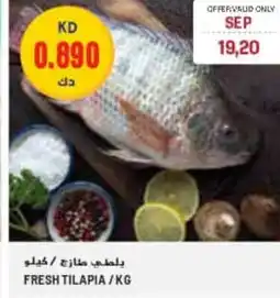 Grand Mall Sharjah Fresh tilapia offer