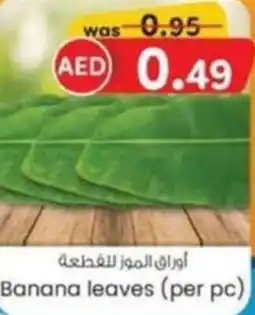 KM Trading Banana leaves offer