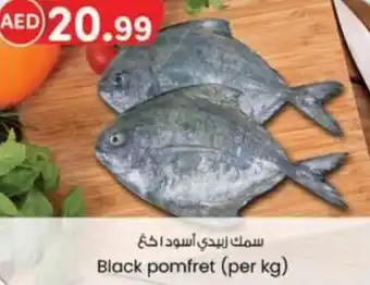 KM Trading Black pomfret offer