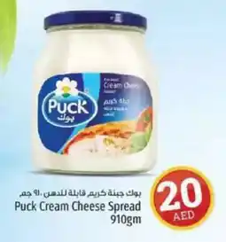 Kenz Hypermarket Puck Cream Cheese Spread offer