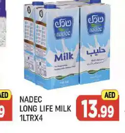 Al Madina NADEC Long Life / UHT Milk offer