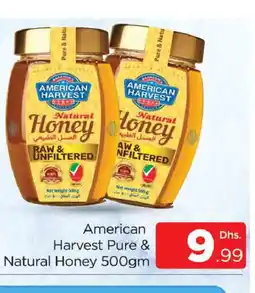 Al Madina AMERICAN HARVEST Honey offer