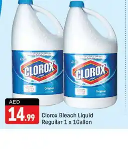 Shaklan CLOROX Bleach offer