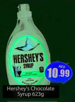 Amber Hershey's Chocolate Syrup offer