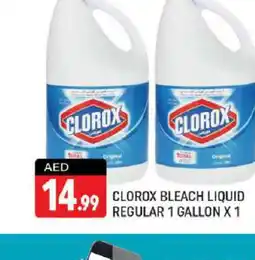 Shaklan CLOROX Bleach offer
