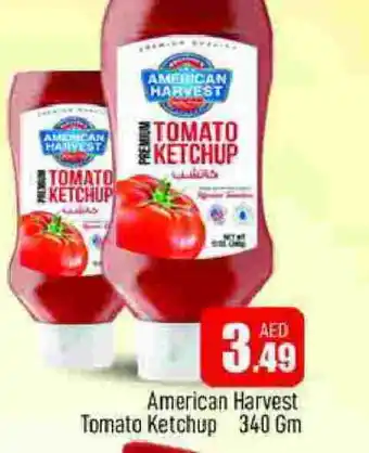 Al Madina AMERICAN HARVEST Tomato Ketchup offer