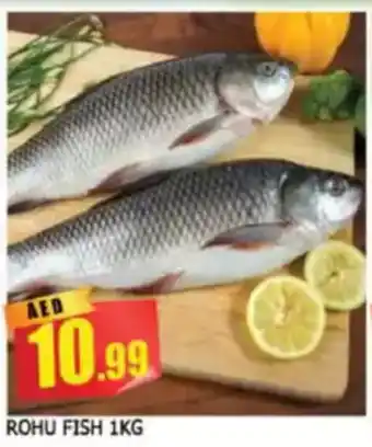 Al Madina Rohu fish offer
