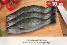 KM Trading Kora black offer