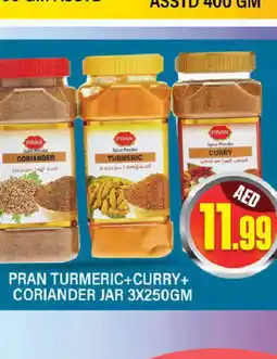 Al Madina PRAN Spices / Masala offer
