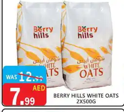 United Hypermarket BERRY HILLS Oats offer