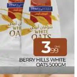 Al Madina BERRY HILLS Oats offer