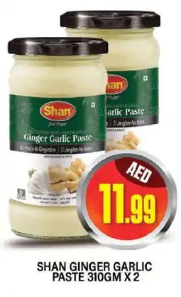 Al Madina SHAN Garlic Paste offer