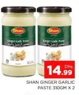 Al Madina SHAN Garlic Paste offer
