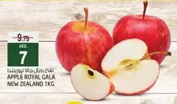 Safari Hypermarket Apple royal gala offer
