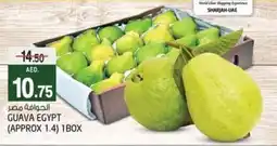 Safari Hypermarket Guava offer