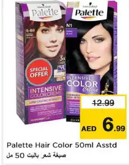 Last Chance PALETTE Hair Colour offer