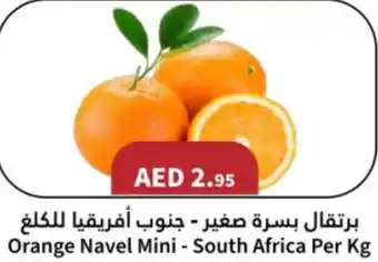 Almaya supermarket Orange Navel Mini offer