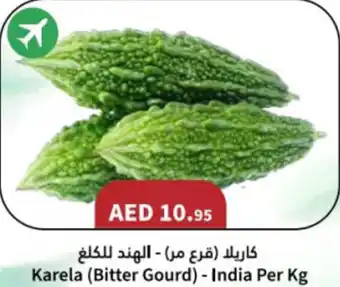 Almaya supermarket Karela (Bitter Gourd) offer