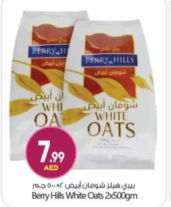 Bigmart BERRY HILLS Oats offer