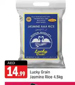Shaklan VOLGA Jasmine Rice offer