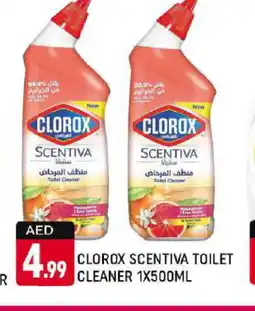Shaklan CLOROX Toilet / Drain Cleaner offer