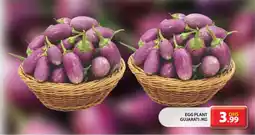 Grand Hyper Market Eggplant Gujarati offer