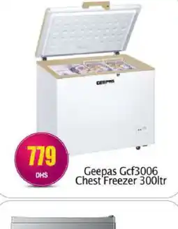 Bigmart GEEPAS Freezer offer