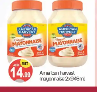 Talal Market AMERICAN HARVEST Mayonnaise offer