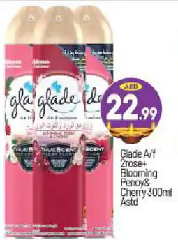 Bigmart GLADE Air Freshner offer