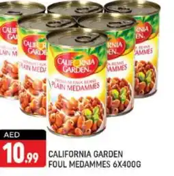 Shaklan CALIFORNIA GARDEN Fava Beans offer